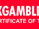 Socio Gamma logo